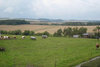 weiland uitzicht