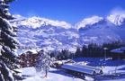 Morillon